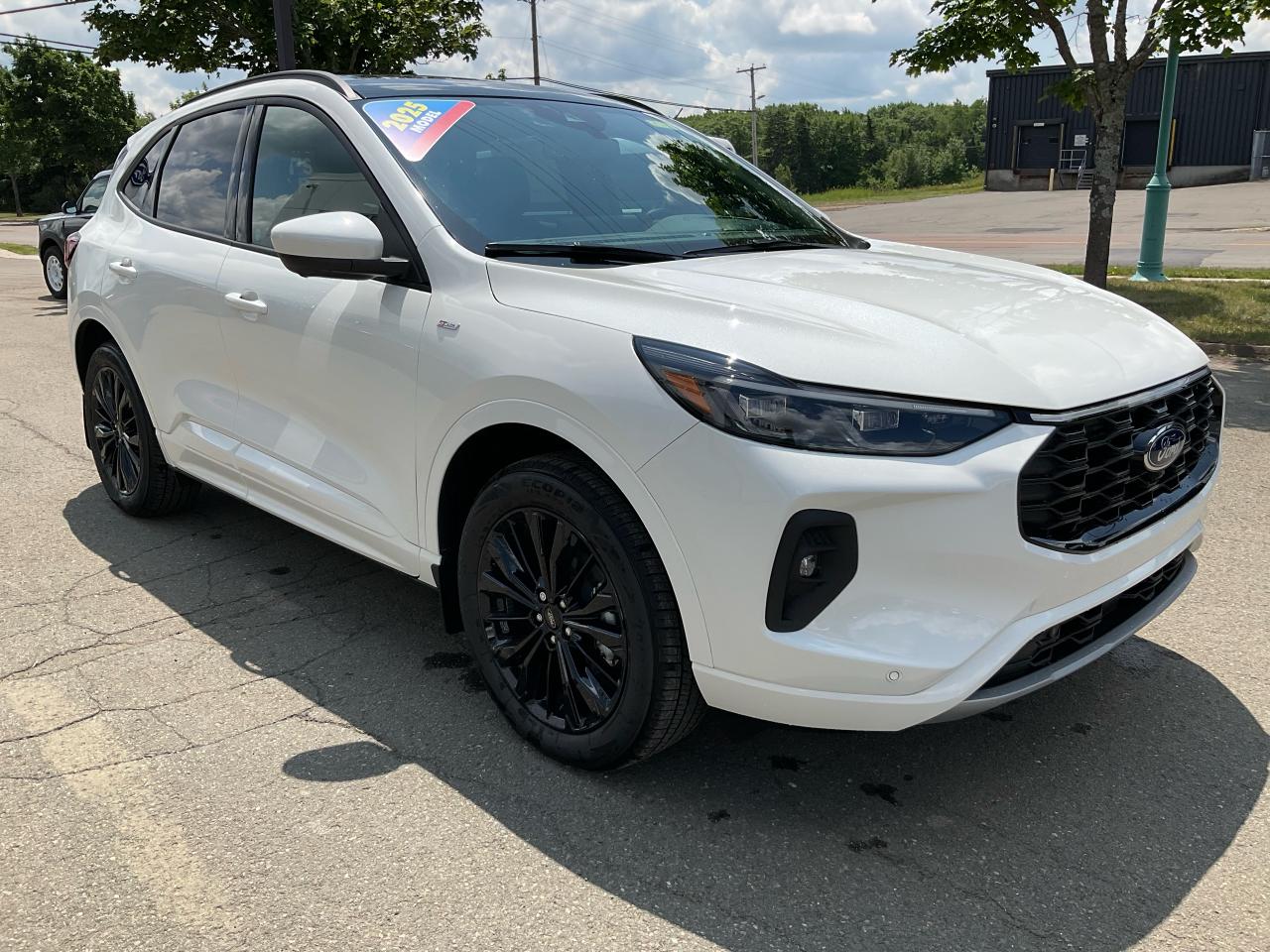 2025 Ford Escape ST-Line Elite Photo2