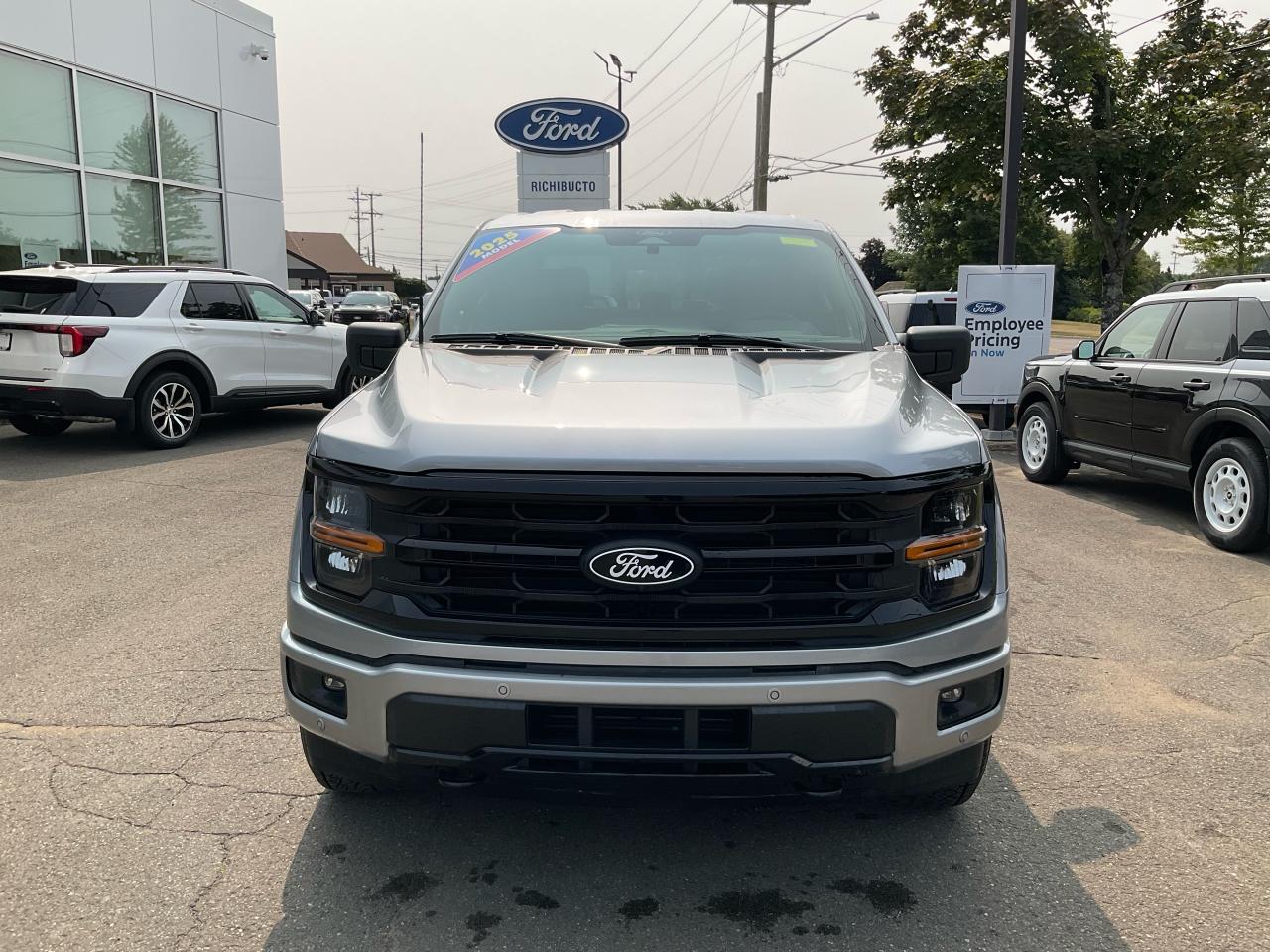2025 Ford F-150 XLT Photo