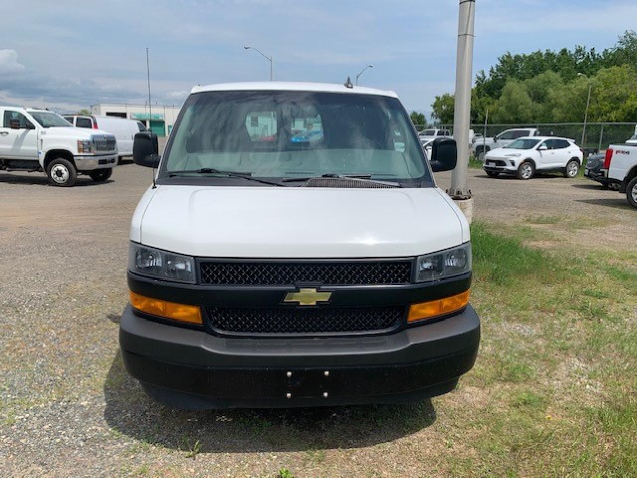 2019 Chevrolet Express Cargo Van EXPRESS CARGO - Photo #3