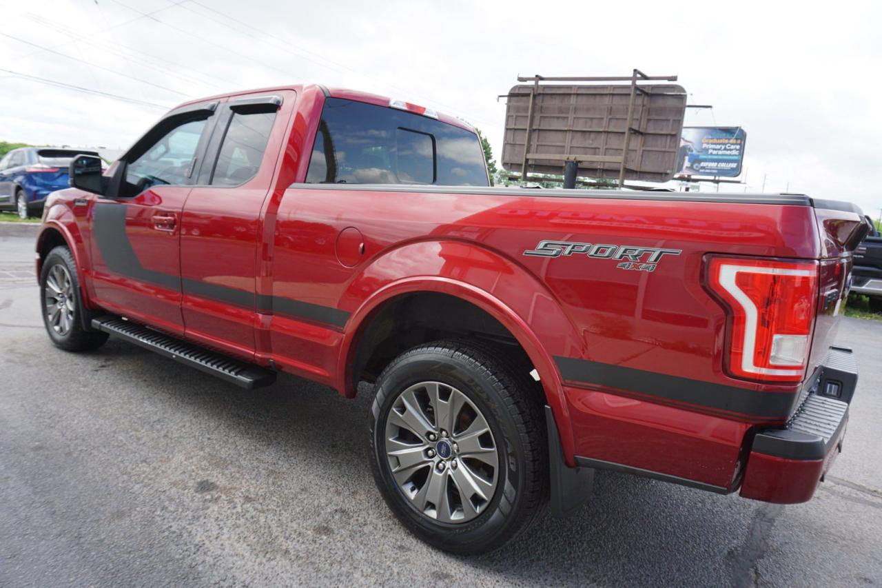 2017 Ford F-150 5.0L V8 SPORT 4WD CERTIFIED *ACCIDENT FREE* CAMERA BLUETOOTH SUNROOF HEATED SEATS CRUISE ALLOYS - Photo #4