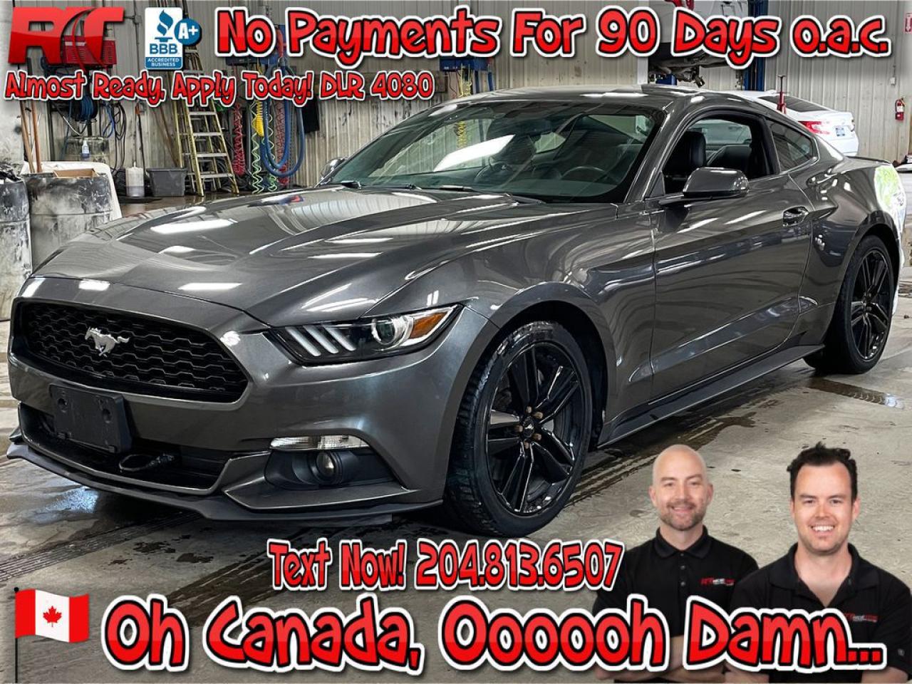 Used 2015 Ford Mustang EcoBoost Premium for sale in Winnipeg, MB
