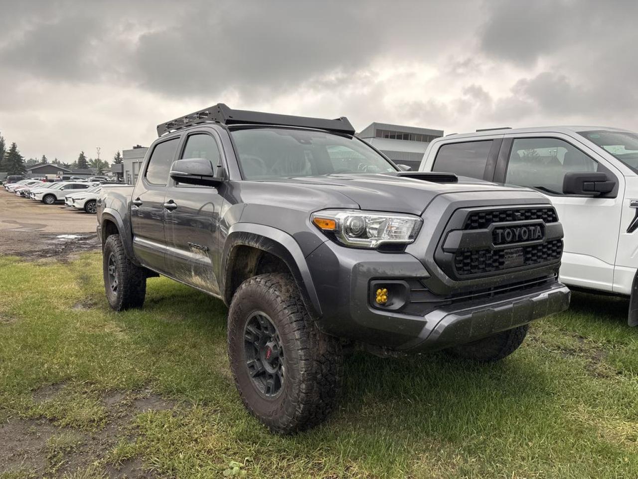 Used 2023 Toyota Tacoma  for sale in Sherwood Park, AB