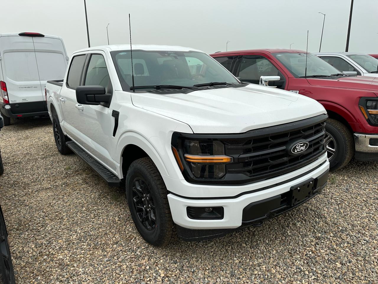 2025 Ford F-150 XLT 4WD SuperCrew 5.5' Box 301A Photo5
