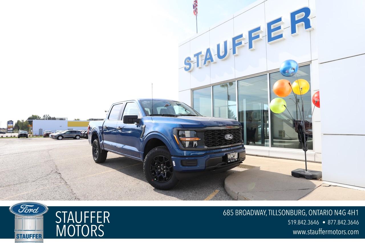 2025 Ford F-150 STX 4WD SuperCrew 5.5' Box Photo0