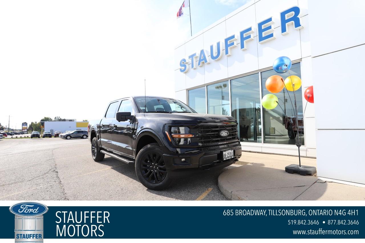 2025 Ford F-150 XLT 4WD SuperCrew 5.5' Box Photo0