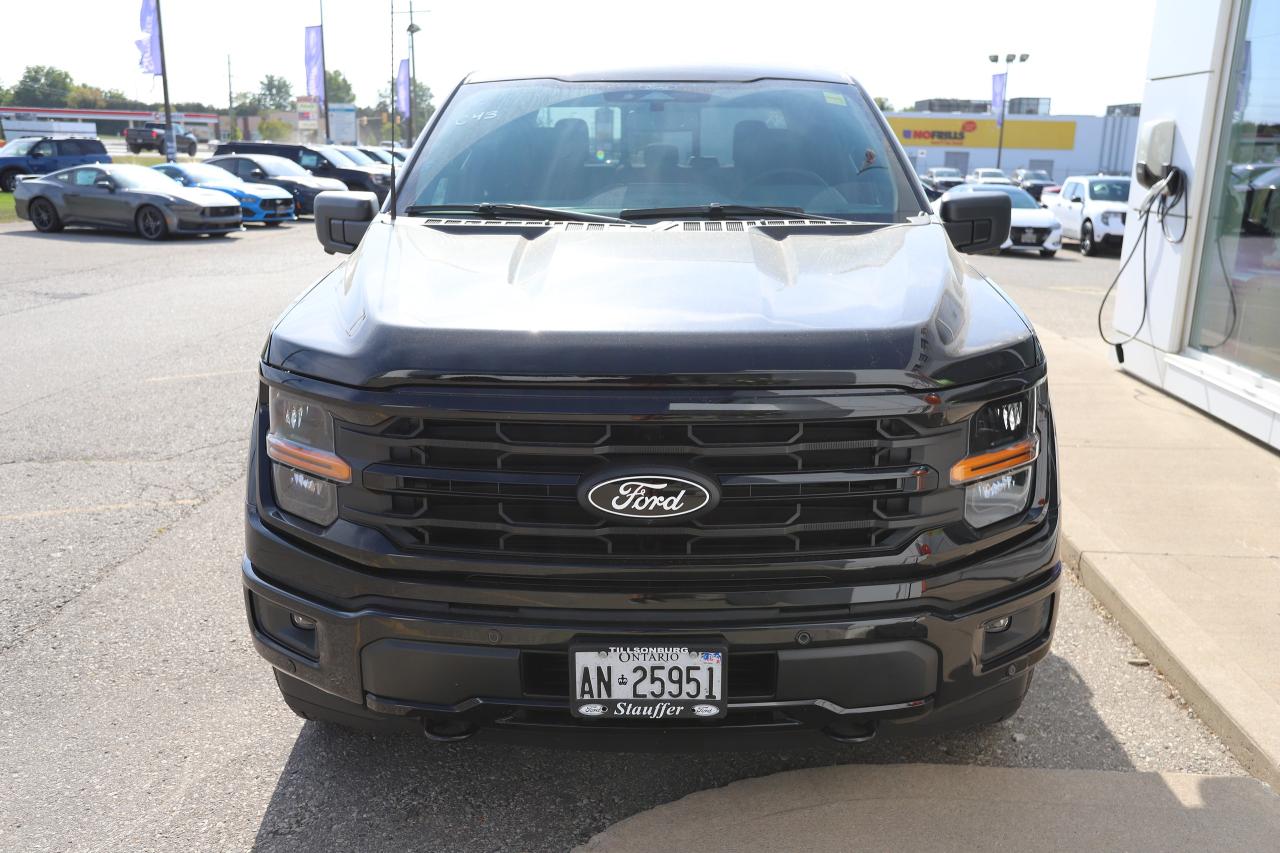 2025 Ford F-150 XLT 4WD SuperCrew 5.5' Box Photo5