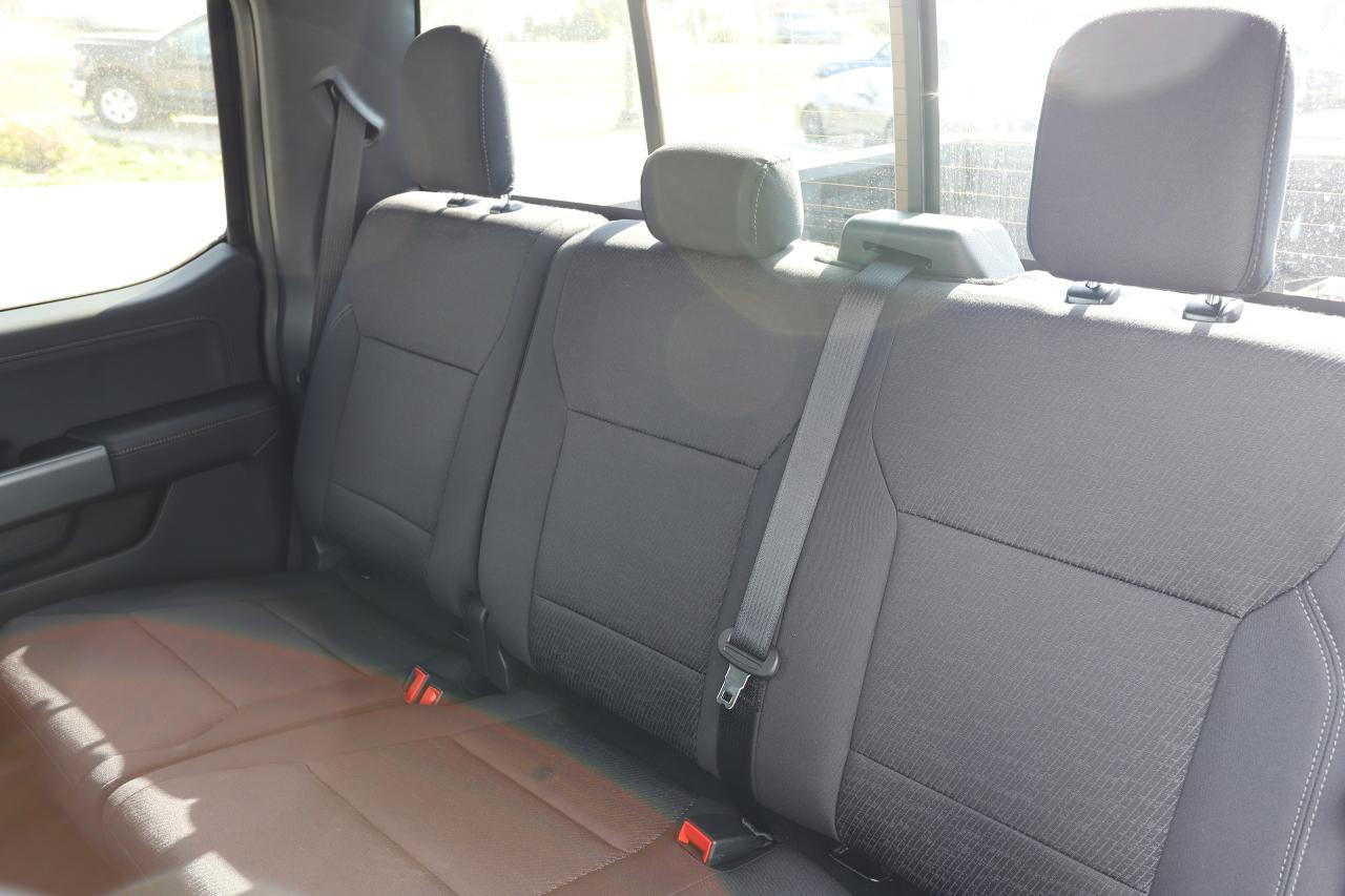 2025 Ford F-150 XLT 4WD SuperCrew 5.5' Box Photo