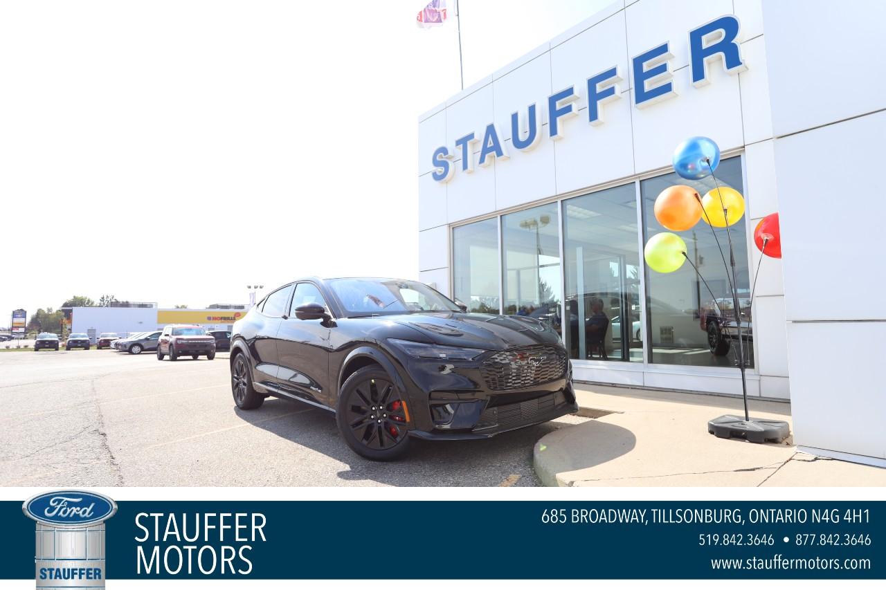 2025 Ford Mustang Mach-E Premium AWD Photo0