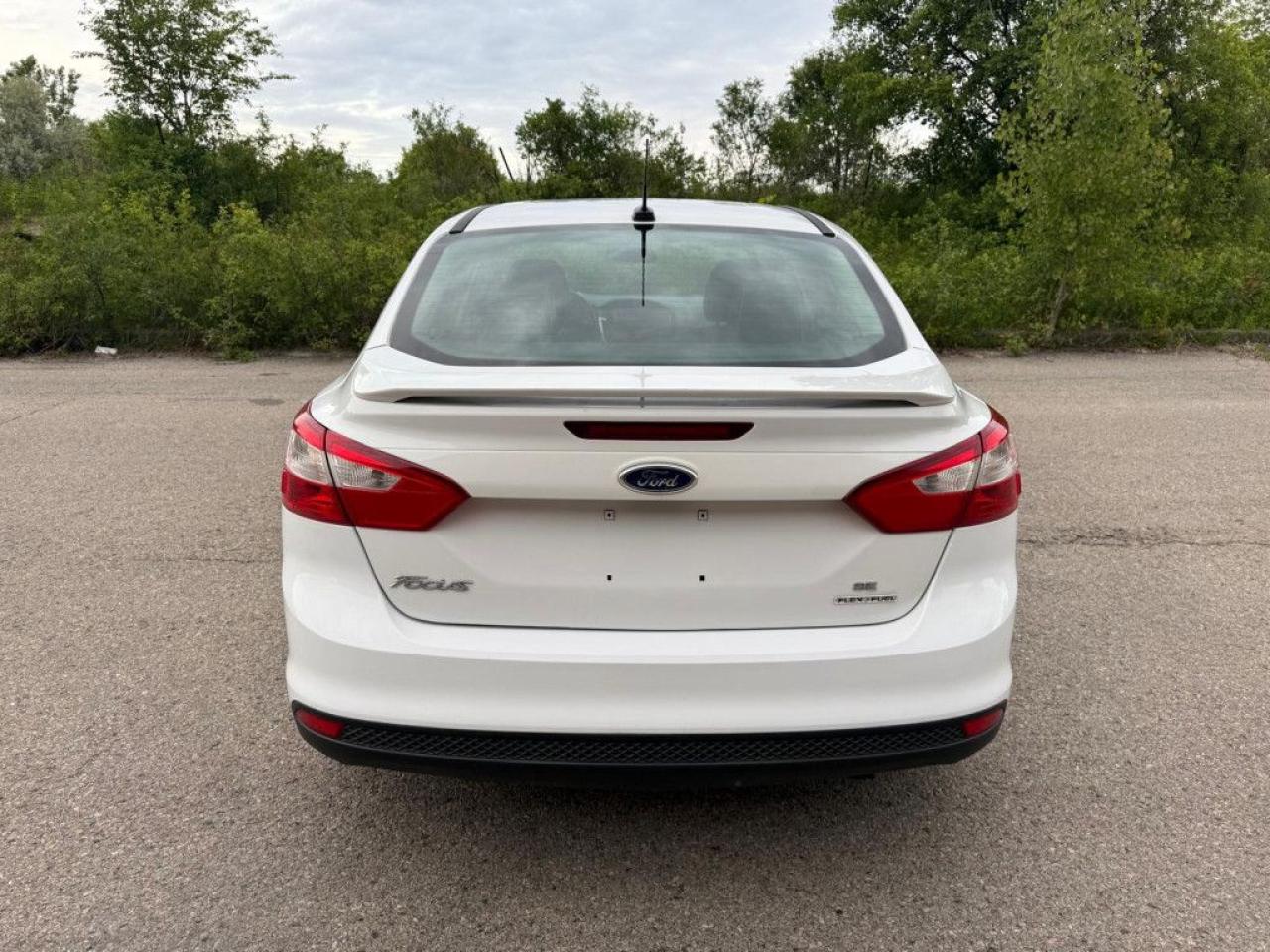 2014 Ford Focus SE |HEATED SEATS|ALLOY WHEELS|BLUETOOTH|MULTI-FUNCTION STEERING WHEEL| - Photo #5