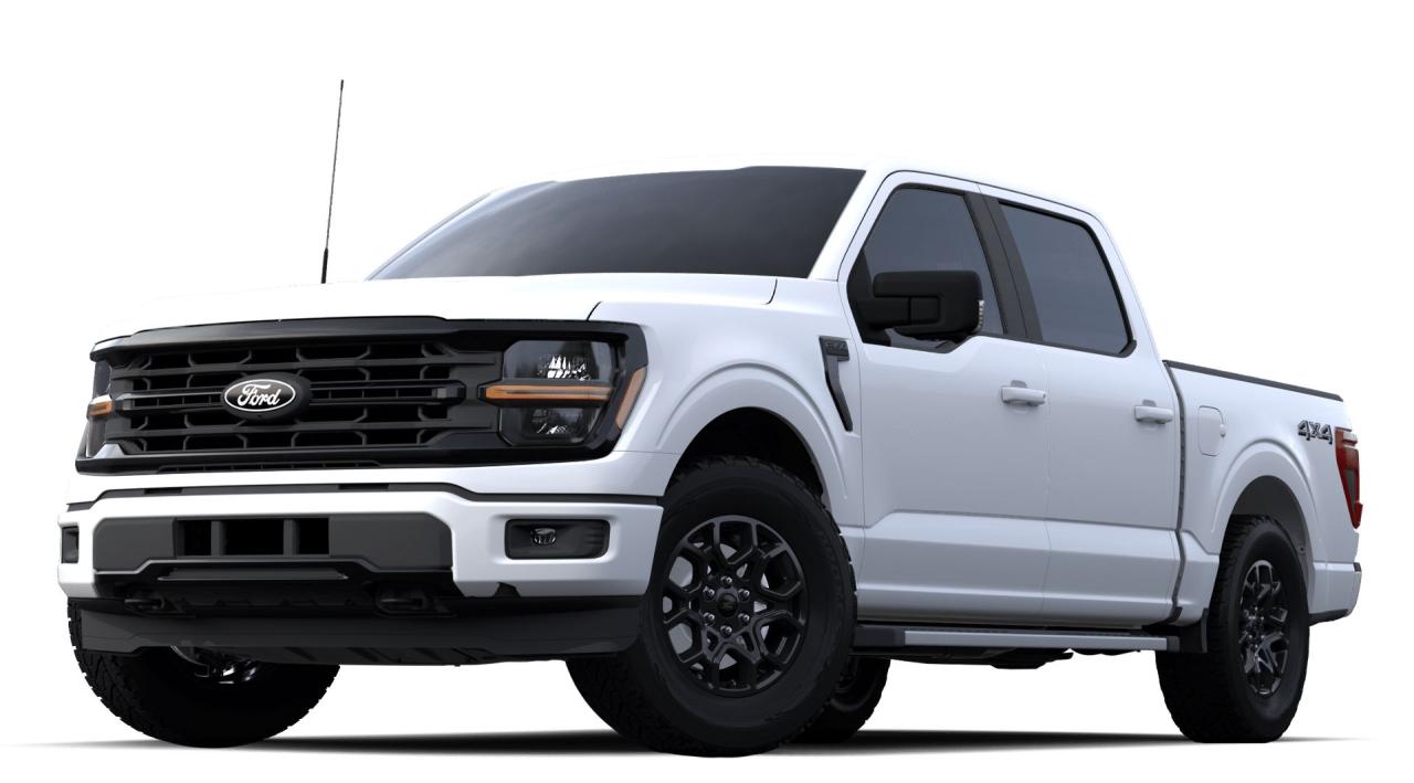 2024 Ford F-150 XLT Photo0