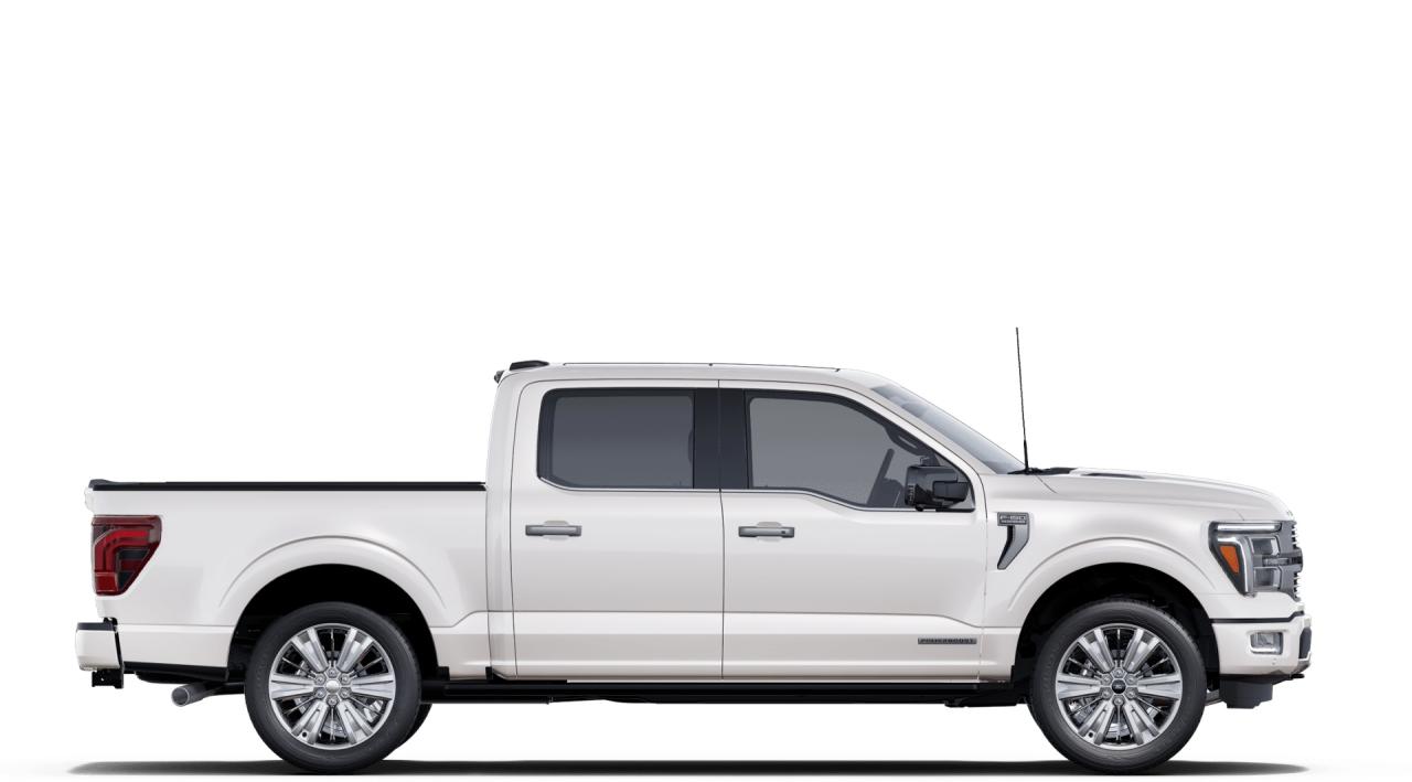 2025 Ford F-150 Platinum Photo5