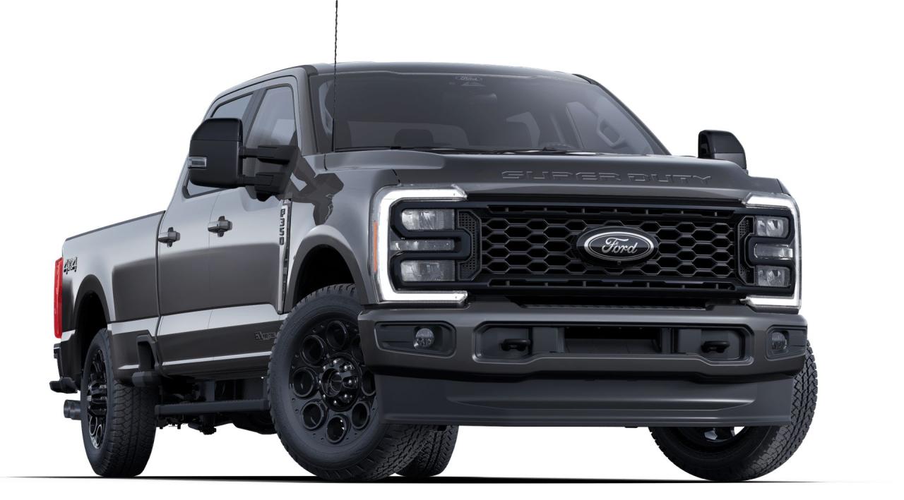 2025 Ford SUPER DUTY F-350 SRW F-350® XLT Photo3