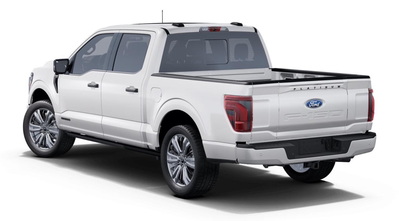 2025 Ford F-150 4x4 Platinum-145 Photo1
