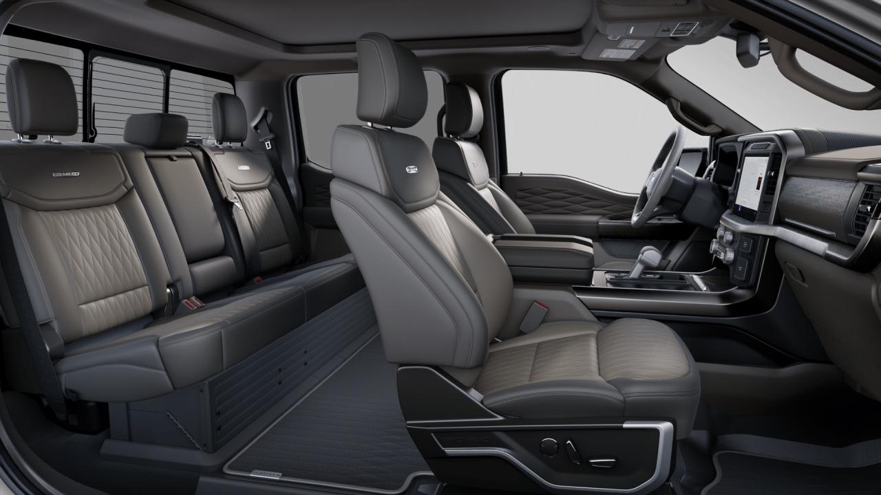 2025 Ford F-150 4x4 Platinum-145 Photo5