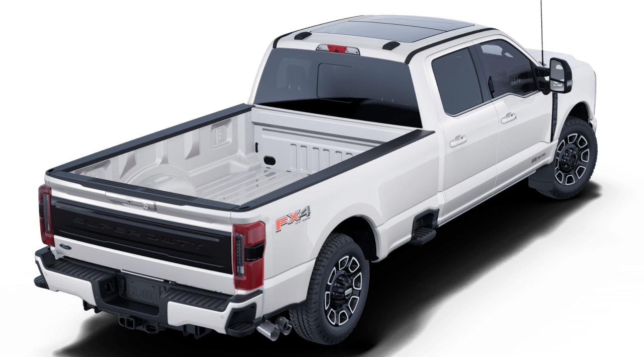 2025 Ford F-350 Super Duty SRW PLATINUM Photo2
