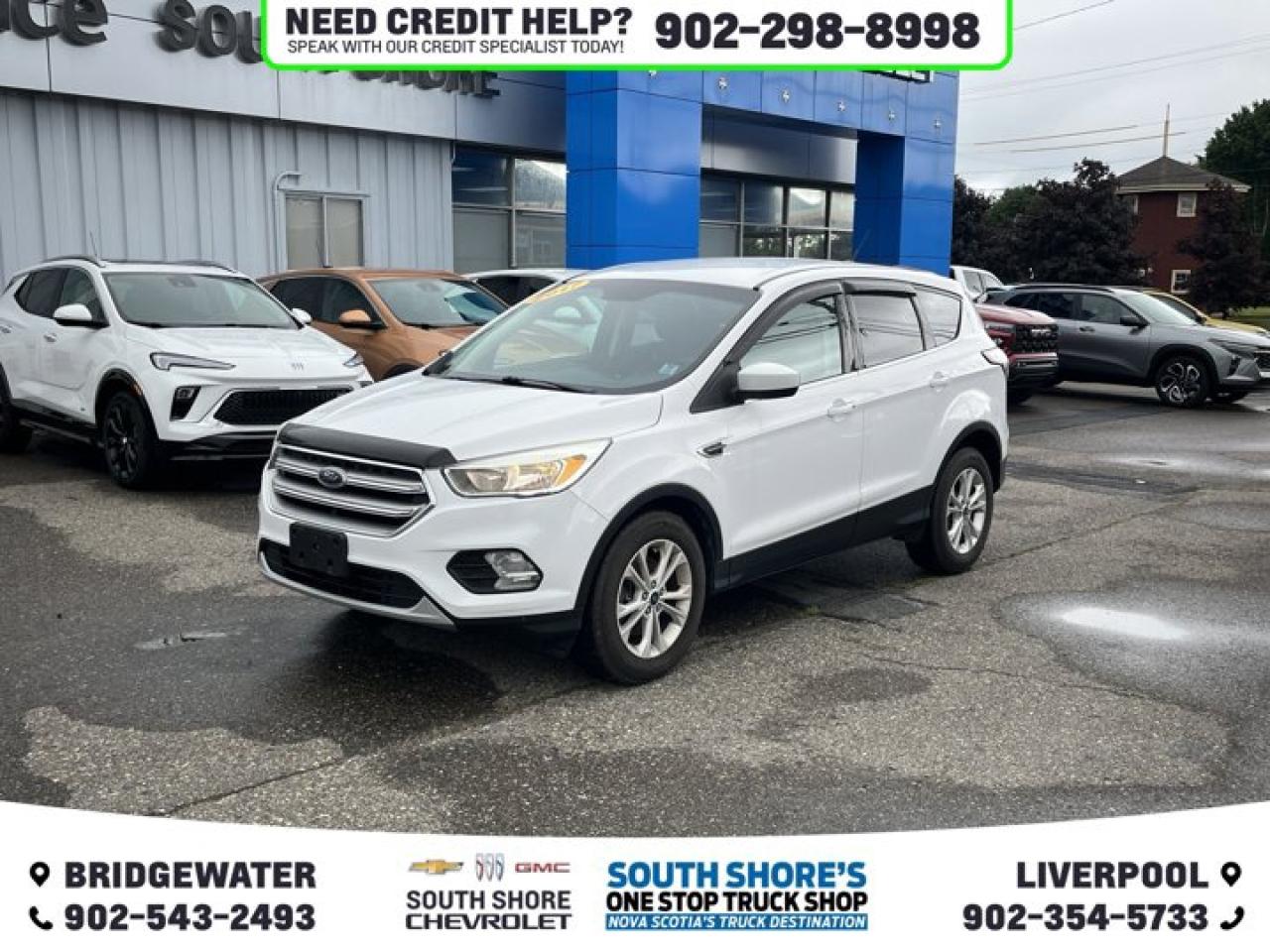 Used 2017 Ford Escape SE for sale in Bridgewater, NS