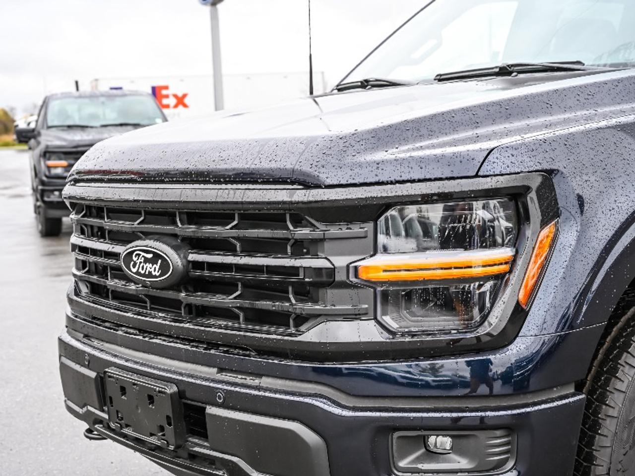 2025 Ford F-150 XLT Photo