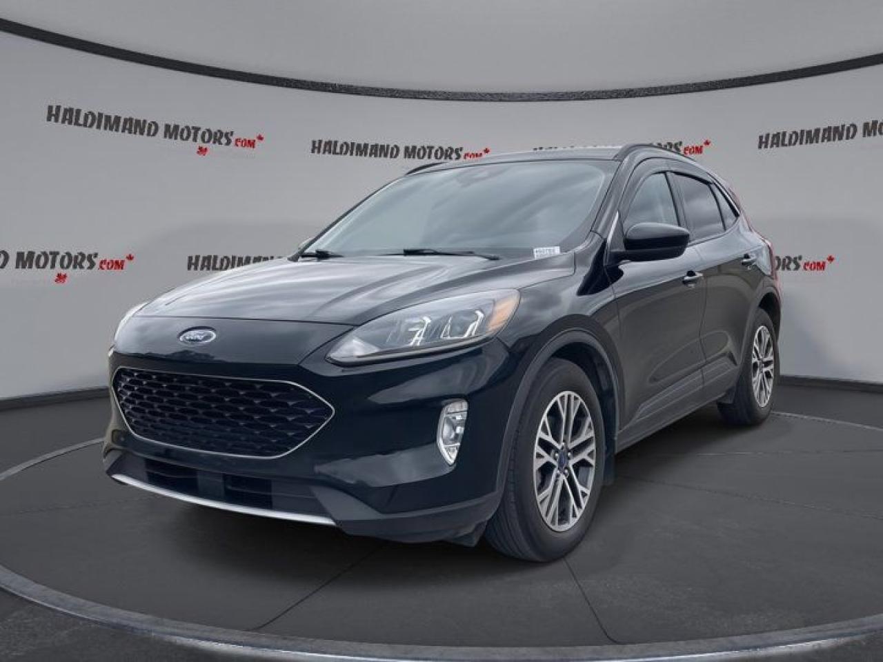 Used 2020 Ford Escape SEL for sale in Cayuga, ON