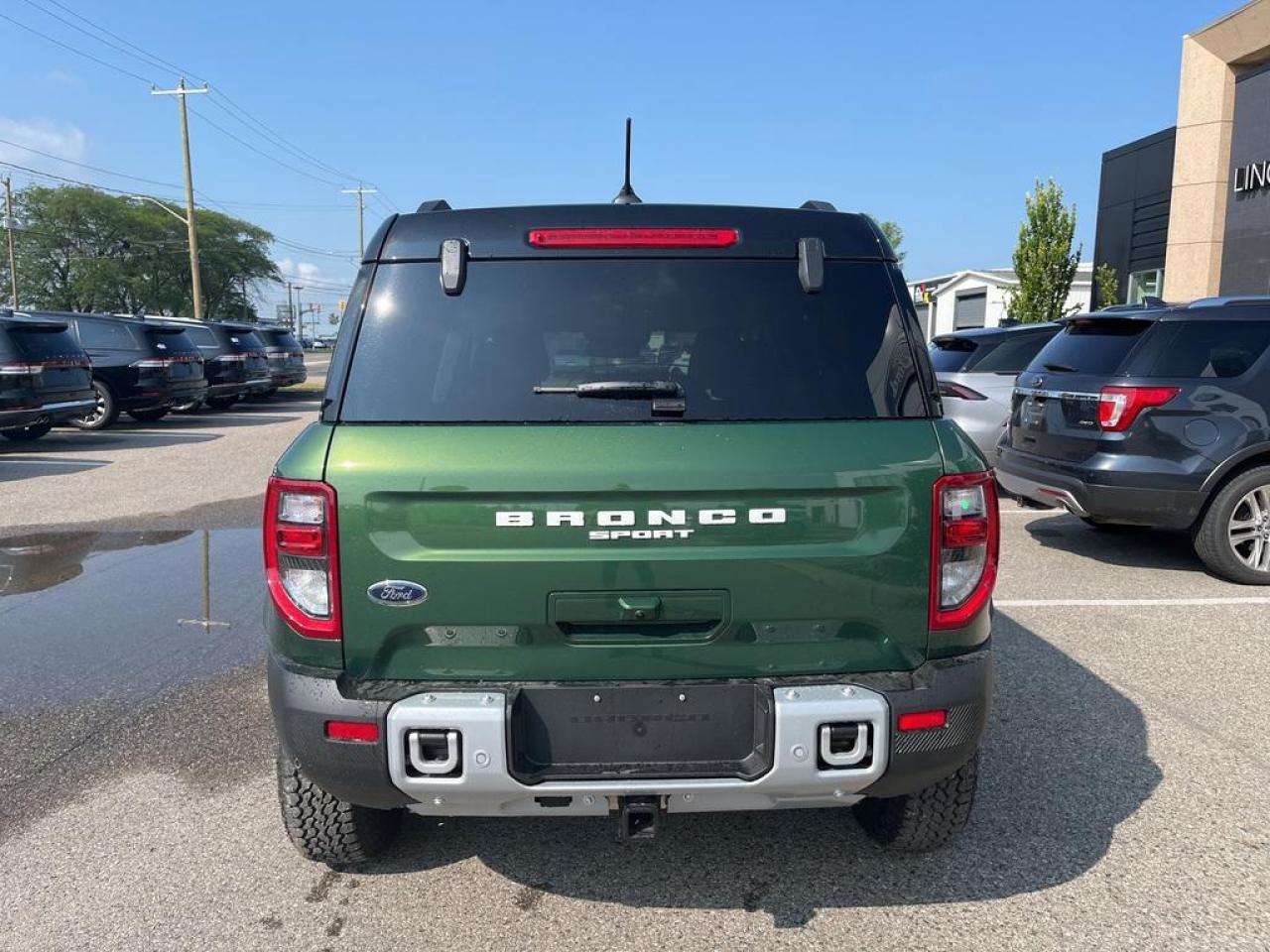12667419