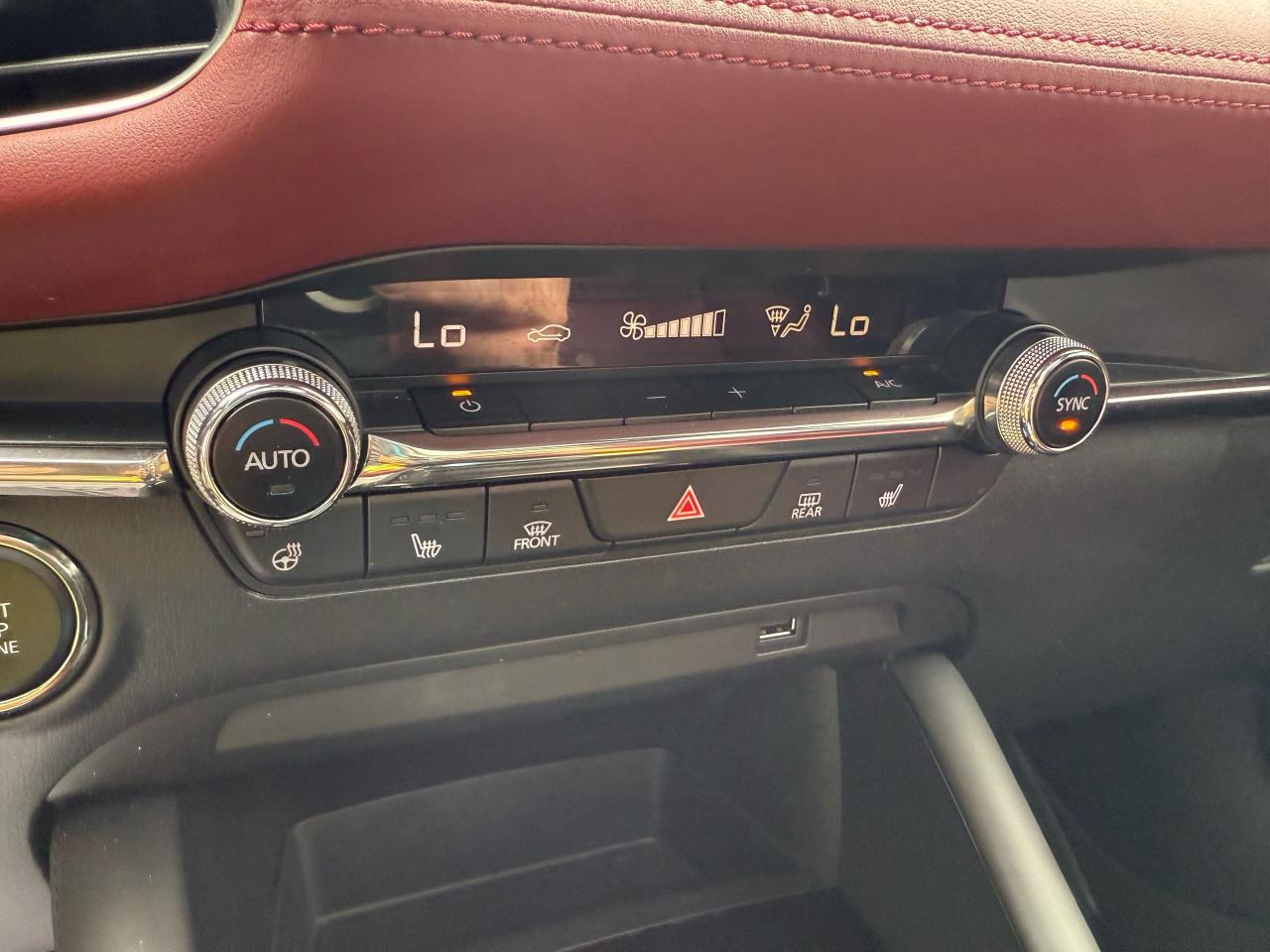 2020 Mazda MAZDA3 GT - Photo #14