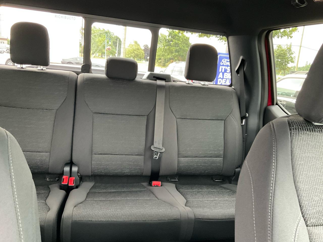 2025 Ford F-150 XLT Photo5