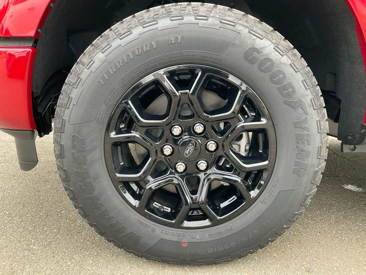 2025 Ford F-150 XLT Photo5