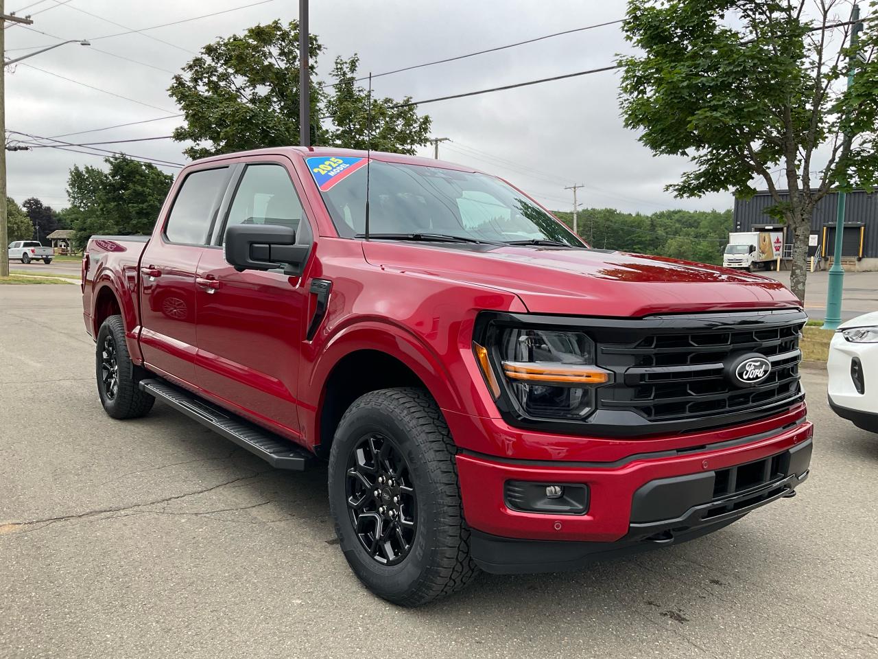 2025 Ford F-150 XLT Photo2