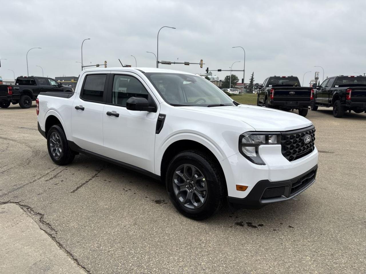 New 2025 Ford Maverick XLT 301A for sale in Camrose, AB