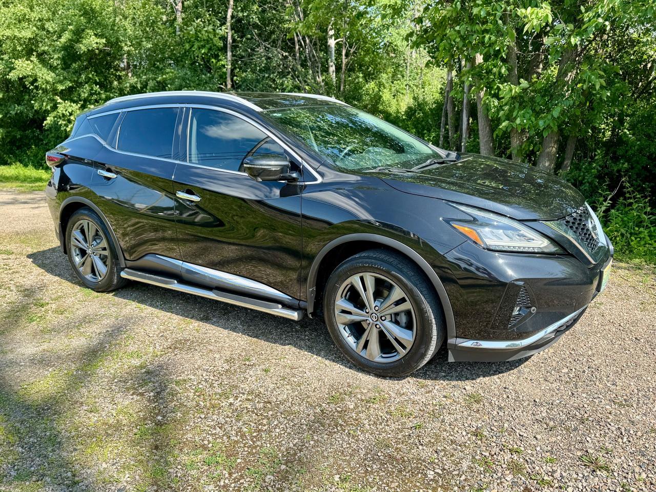 2019 Nissan Murano Platinum AWD - Photo #8