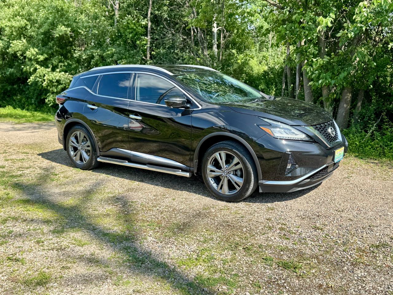 2019 Nissan Murano Platinum AWD - Photo #9