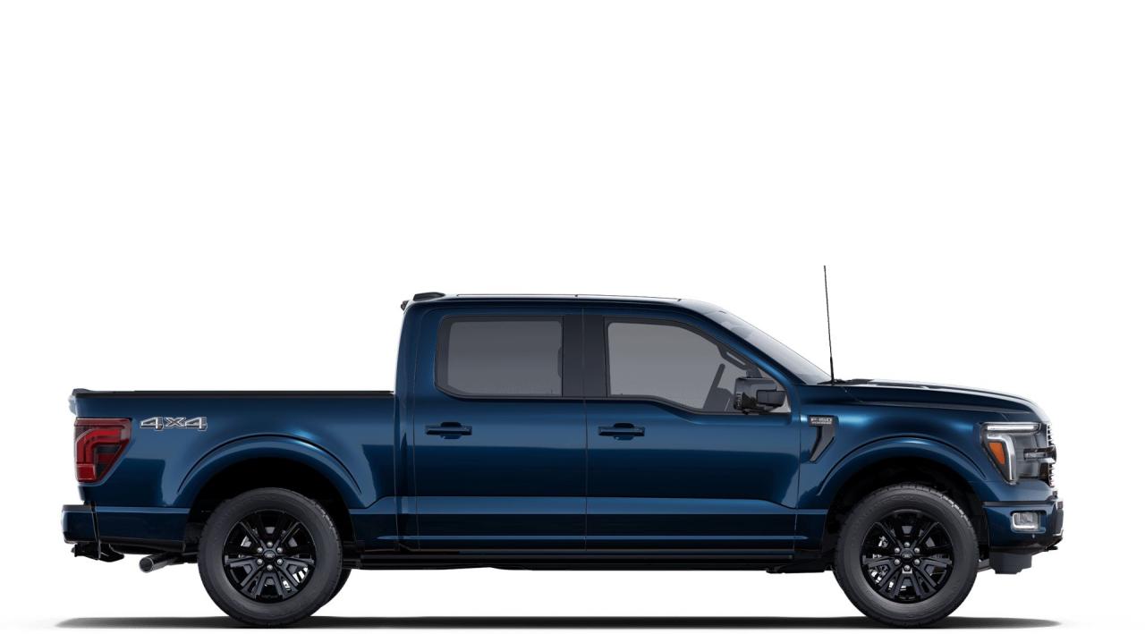 2025 Ford F-150 PLATINUM 4WD SUPERCREW 5.5' BOX Photo4