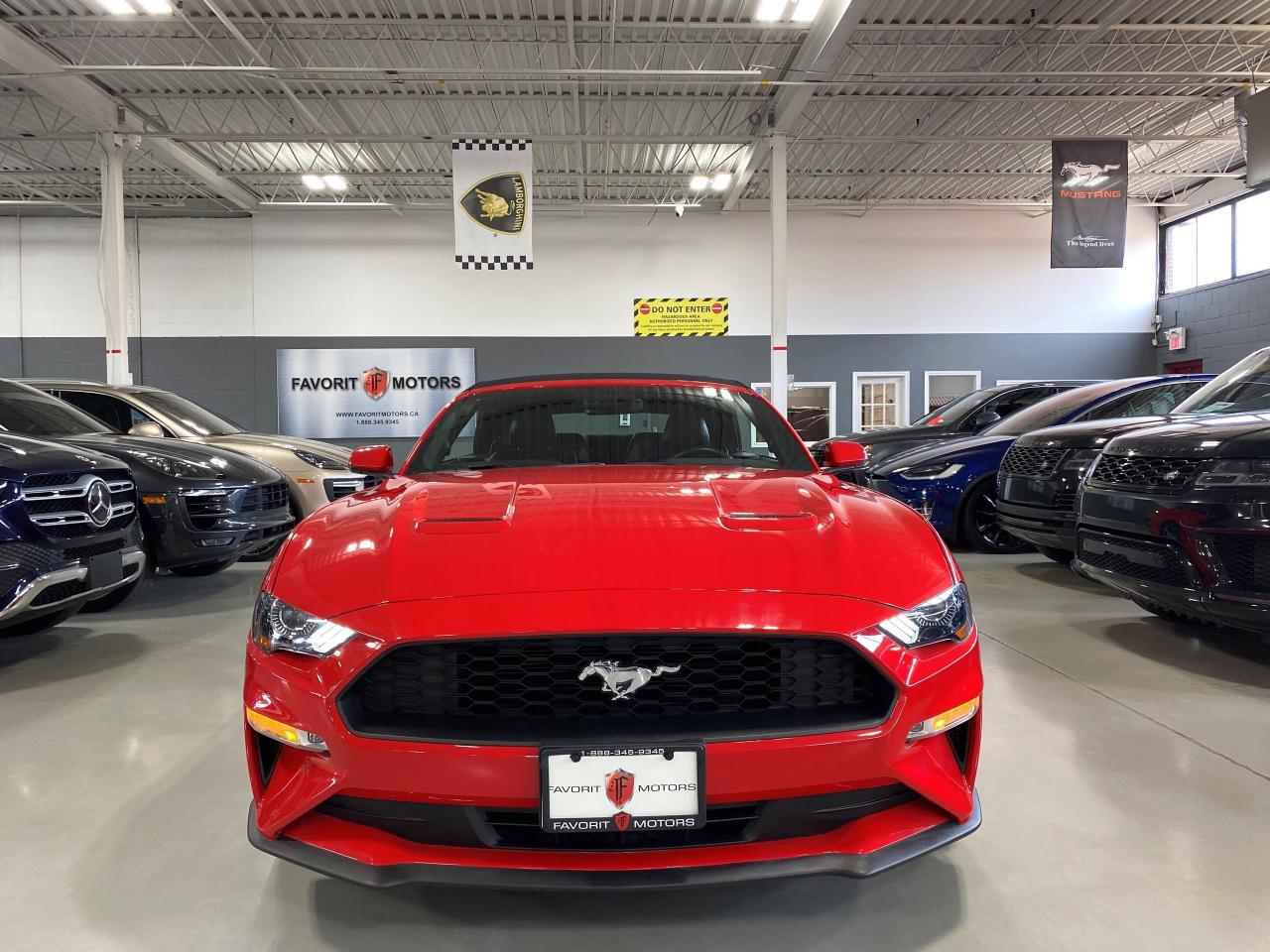 2019 Ford Mustang EcoBoostPremium|CONVERTIBLE|MANUAL|DIGITALDASH|RWD - Photo #2