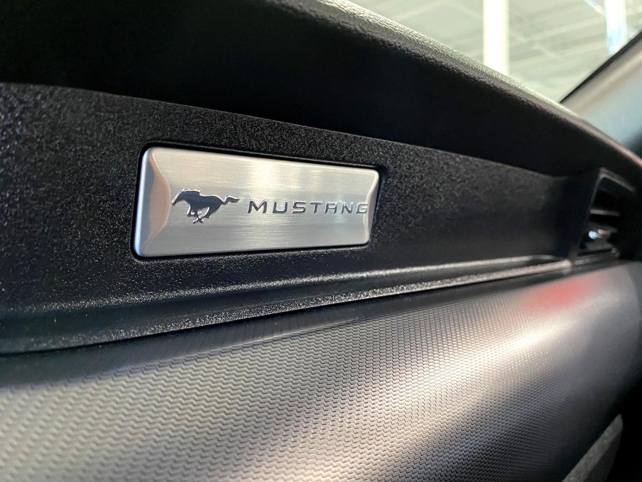 2019 Ford Mustang EcoBoostPremium|CONVERTIBLE|MANUAL|DIGITALDASH|RWD - Photo #18