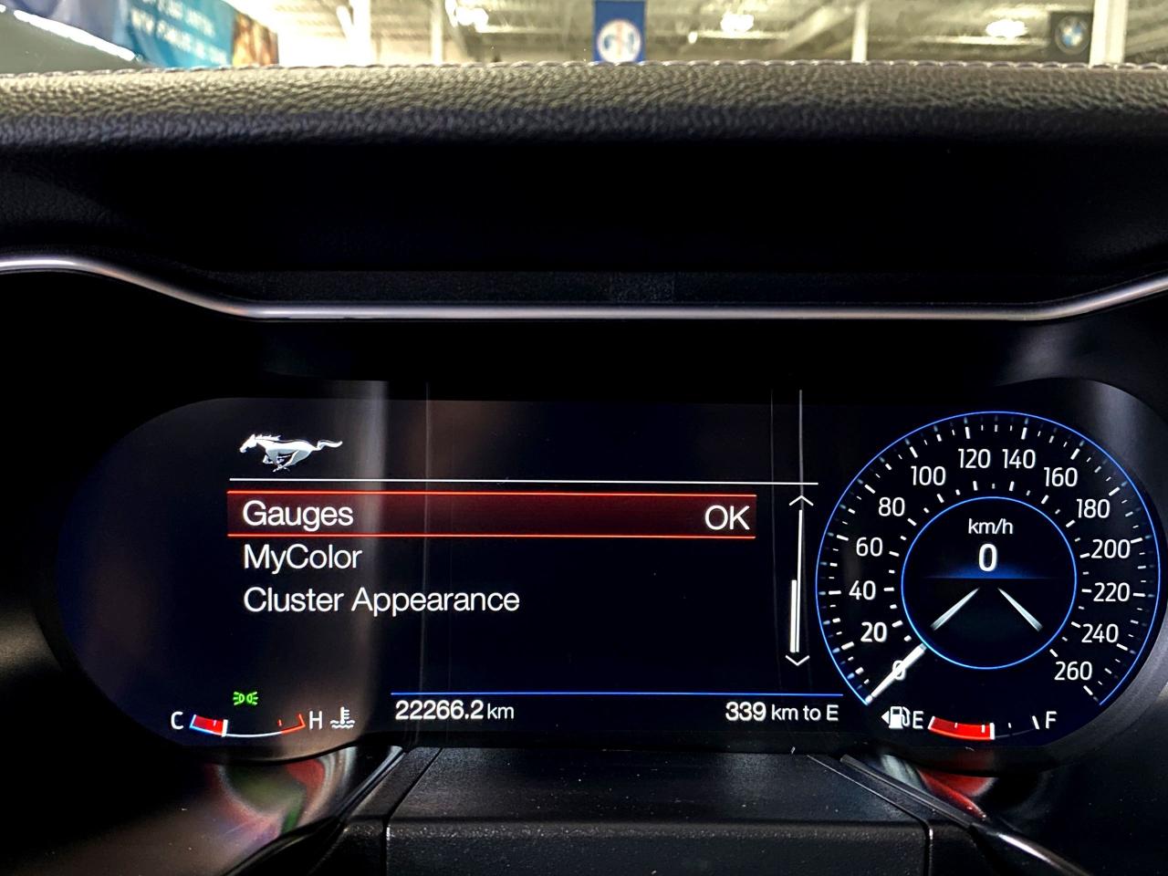 2019 Ford Mustang EcoBoostPremium|CONVERTIBLE|MANUAL|DIGITALDASH|RWD - Photo #33