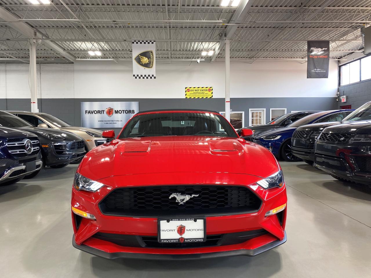 2019 Ford Mustang EcoBoostPremium|CONVERTIBLE|MANUAL|DIGITALDASH|RWD - Photo #2