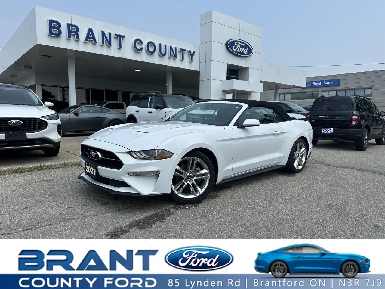 Used 2021 Ford Mustang EcoBoost Premium for sale in Brantford, ON