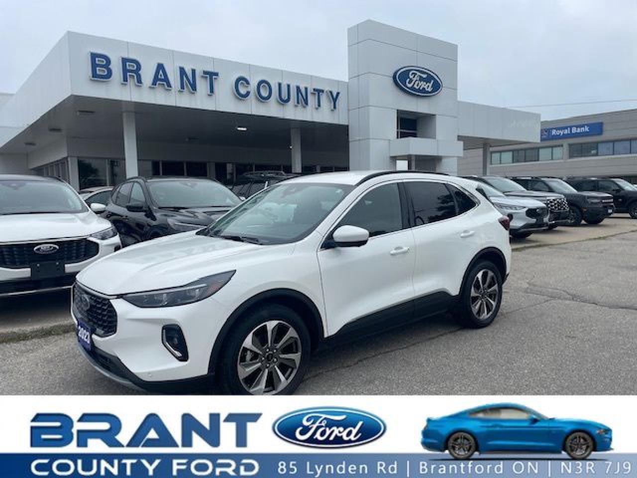 Used 2023 Ford Escape Platinum for sale in Brantford, ON