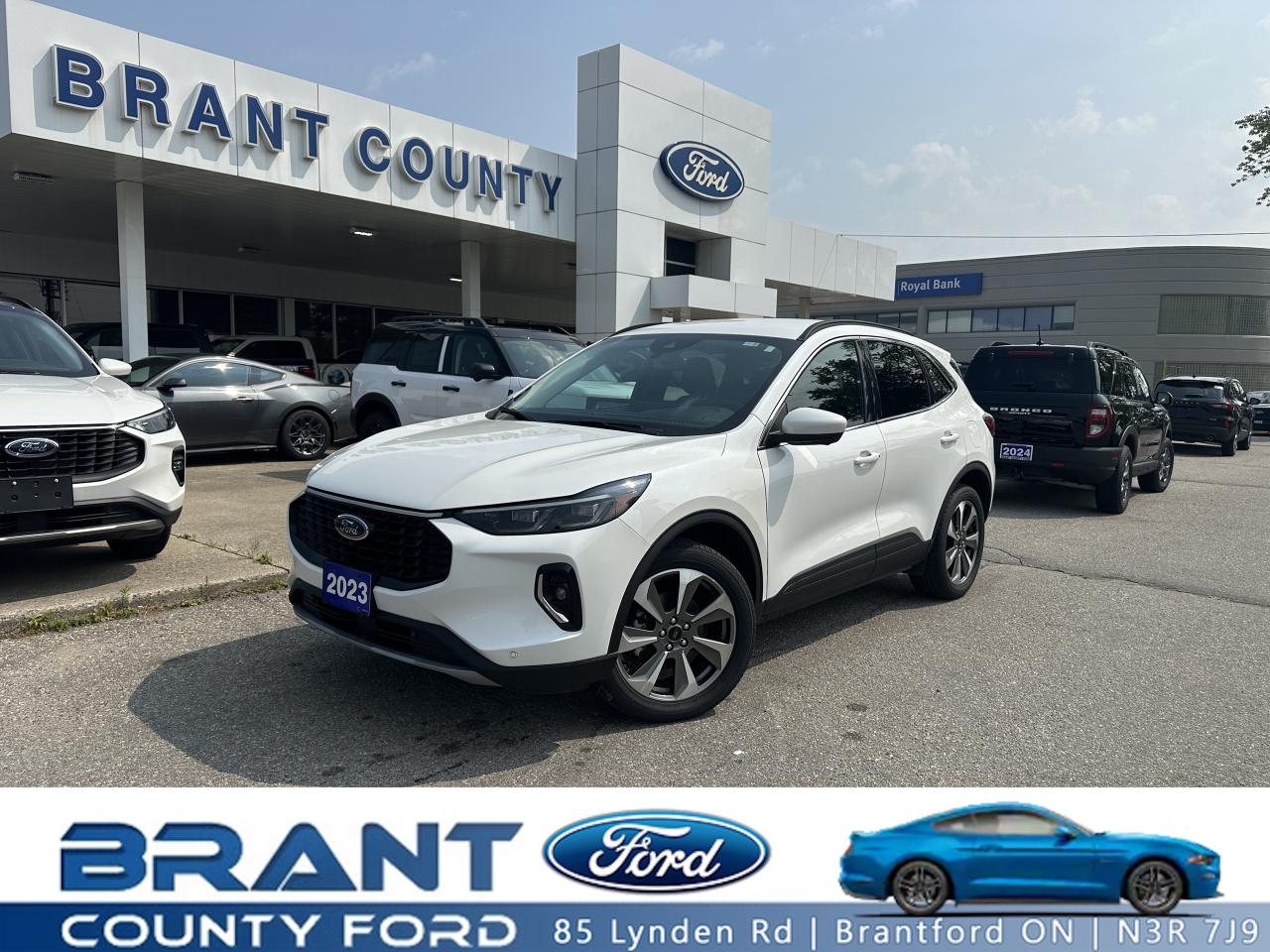 Used 2023 Ford Escape Platinum for sale in Brantford, ON