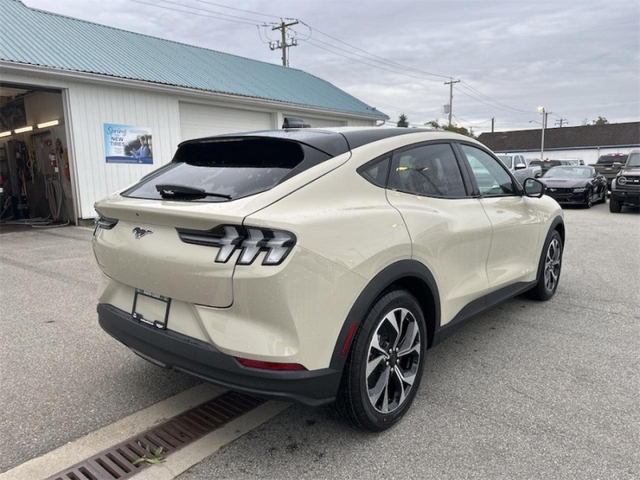 2025 Ford Mustang Mach-E Select AWD  - Activex Seats Photo4