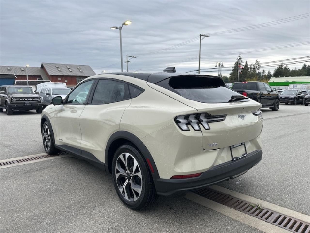 2025 Ford Mustang Mach-E Select AWD  - Activex Seats Photo
