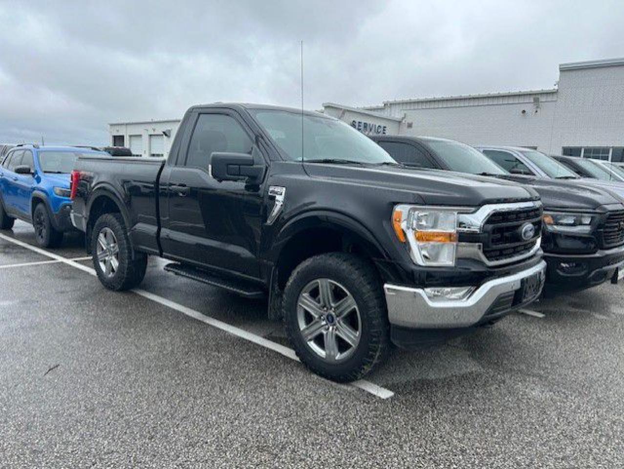 Used 2021 Ford F-150 XLT 4WD Reg Cab 6.5' Box for sale in Watford, ON