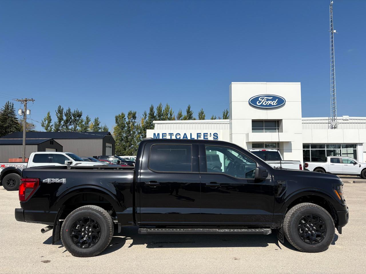 New 2025 Ford F-150 XLT 4WD SuperCrew 5.5' Box for sale in Treherne, MB
