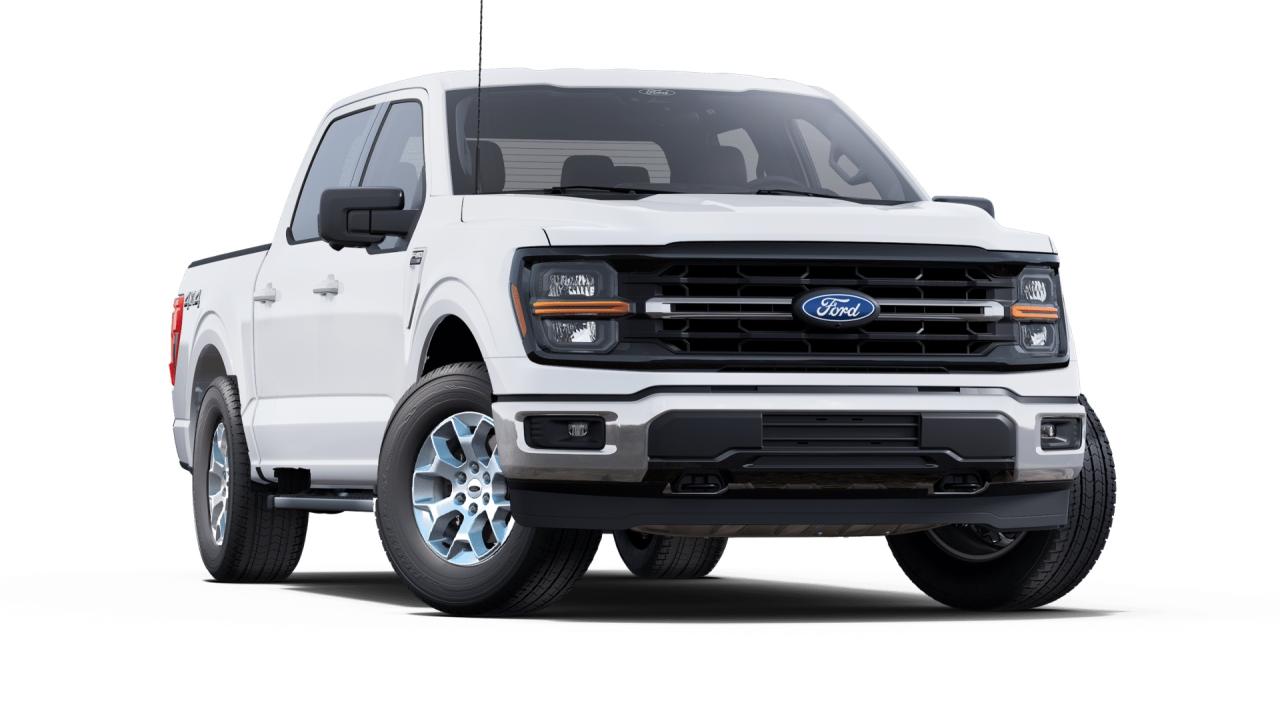 2025 Ford F-150 XLT 4WD SuperCrew 5.5' Box Photo5
