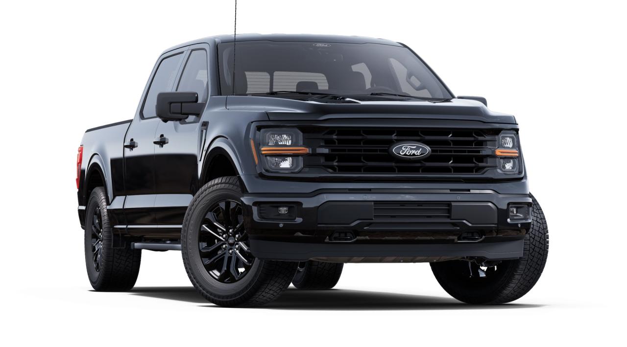 2025 Ford F-150 XLT 4WD SuperCrew 6.5' Box Photo3