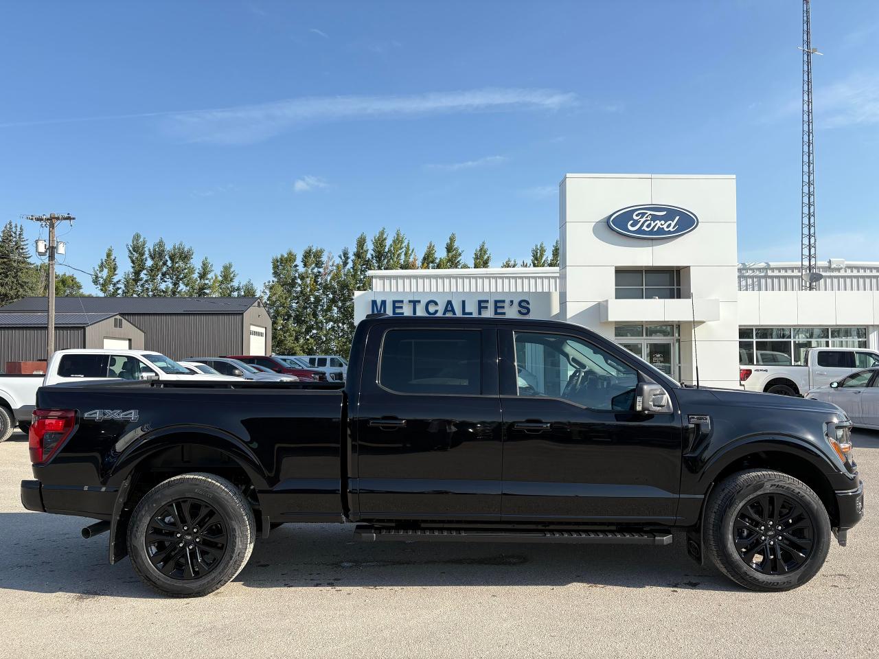 New 2025 Ford F-150 XLT 4WD SuperCrew 6.5' Box for sale in Treherne, MB