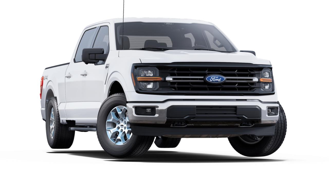 2025 Ford F-150 XLT 4WD SuperCrew 6.5' Box Photo