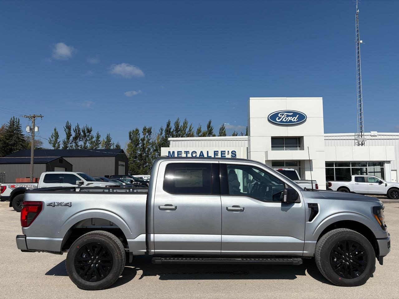New 2025 Ford F-150 XLT 4WD SuperCrew 5.5' Box for sale in Treherne, MB