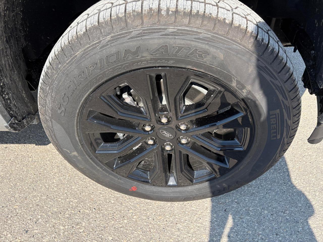 2025 Ford F-150 XLT 4WD SuperCrew 5.5' Box Photo5