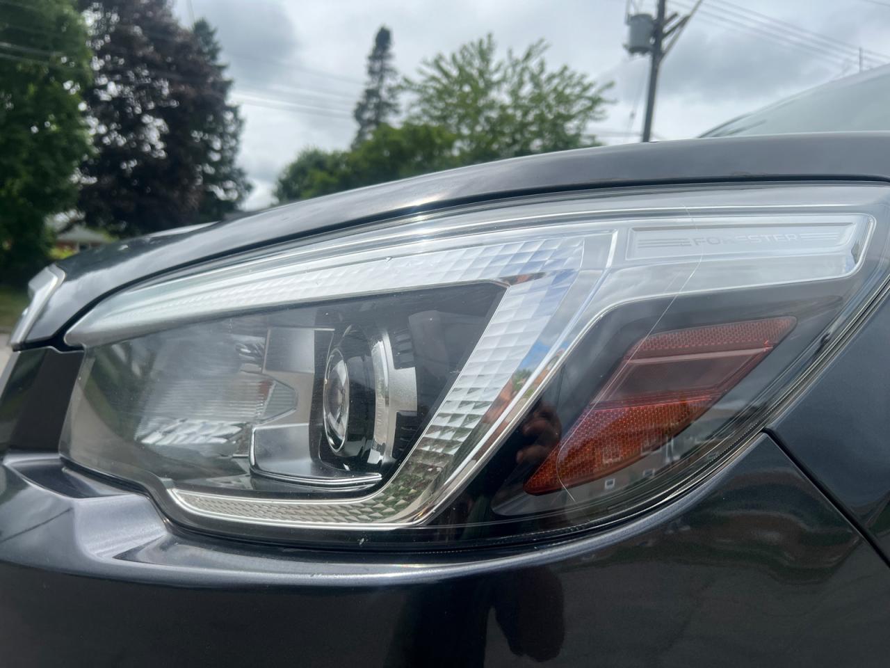 2019 Subaru Forester 2.5i Photo