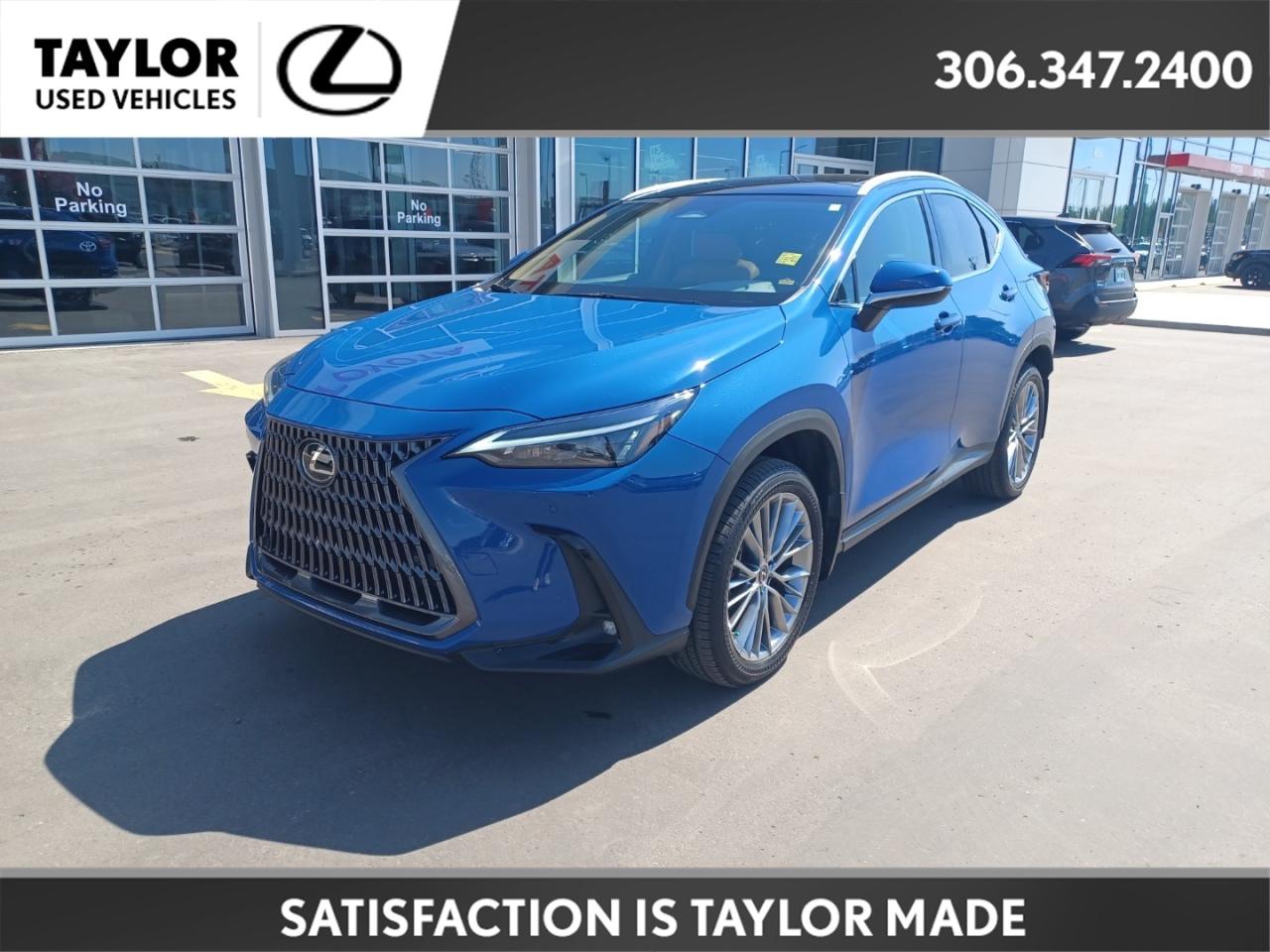 Used 2022 Lexus NX 350h Luxury LUXURY PACKAGE for sale in Regina, SK
